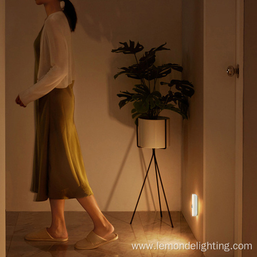 Plug in Lamp NightLight Wall Lamp